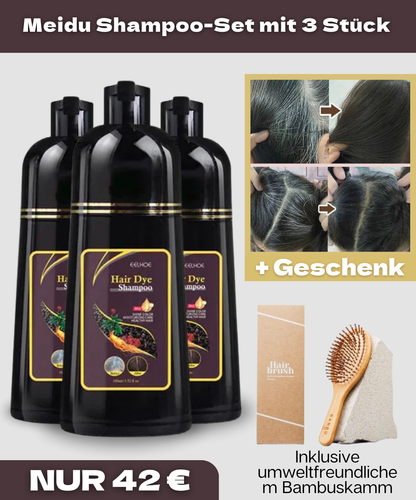 Hair Dye Shampoo 3-in-1 für graues Haar + Umweltfreundlicher Bambuskamm als Geschenk